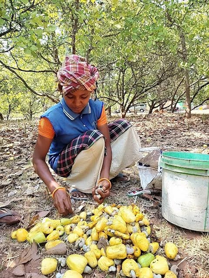 Farmer First